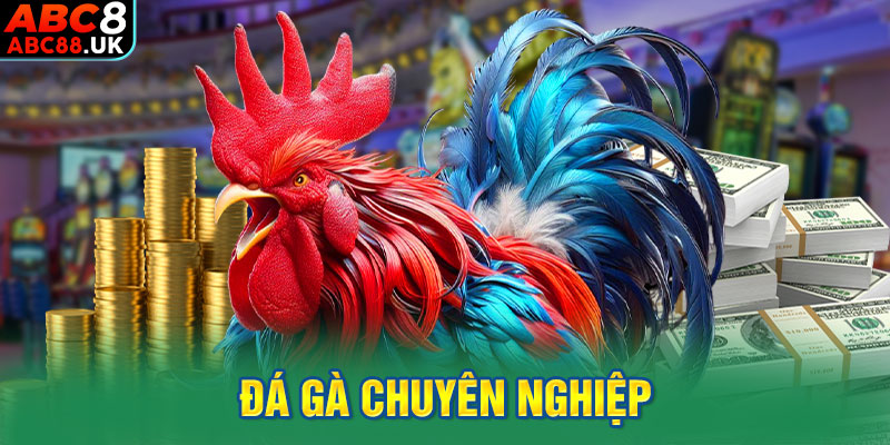 Đá gà chuyên nghiệp