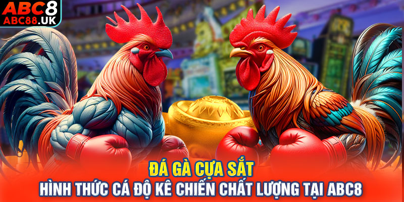 Đá Gà Cựa Sắt - Hình Thức Cá Độ Kê Chiến Chất Lượng Tại ABC8