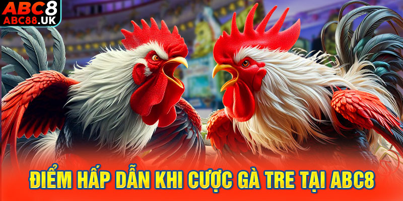 Điểm hấp dẫn khi cược gà tre tại ABC8