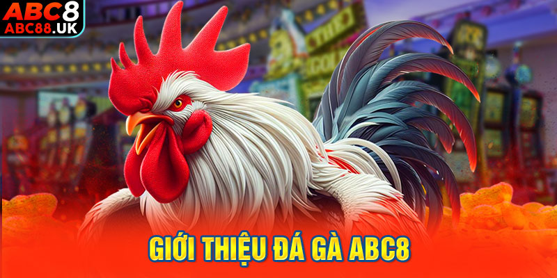 Giới thiệu đá gà ABC8