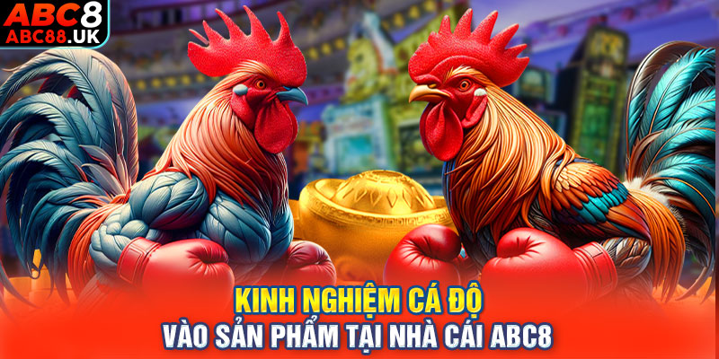 Kinh nghiệm cá độ vào sản phẩm tại nhà cái ABC8