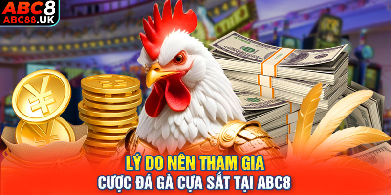 Lý do nên tham gia cược đá gà cựa sắt tại ABC8