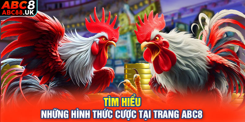 Tìm hiểu những hình thức cược tại trang ABC8